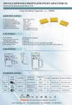 X2 Safety Capacitor